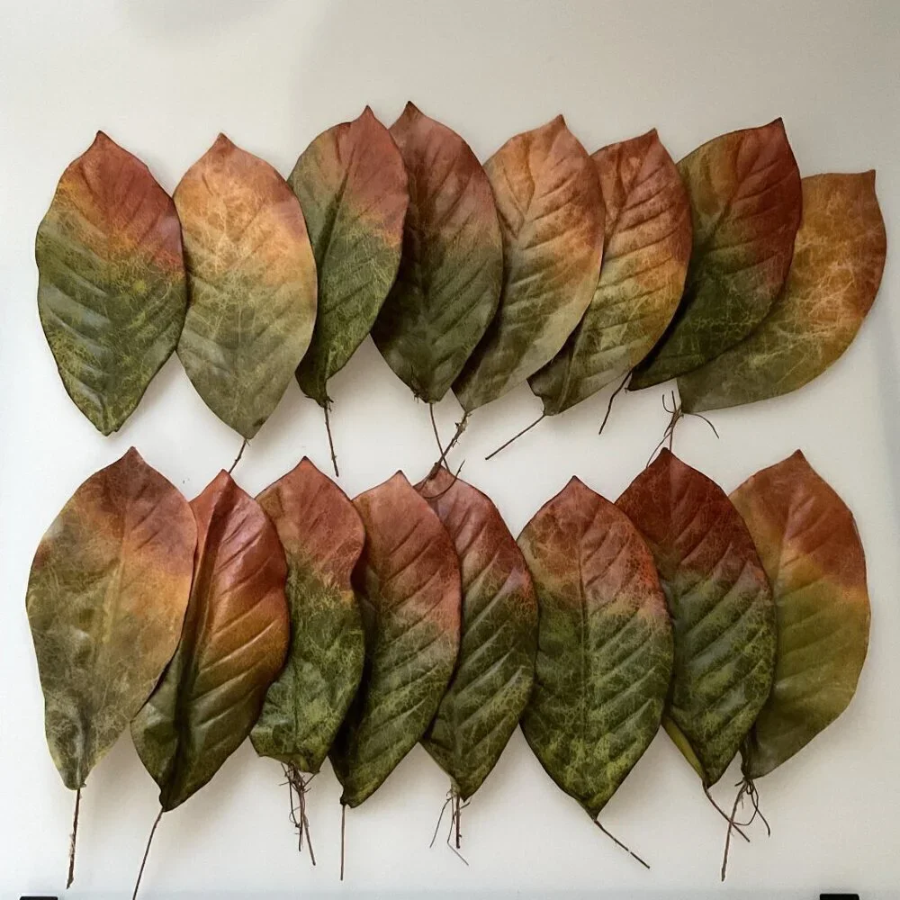 MAGNOLIA BIG LEAVES  DIY BUNDLE CRAFTS HOME DECOR 30 LEAVES 4 BRANCHES